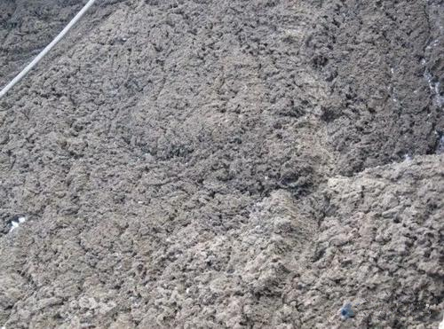 污泥壓濾機(jī)使用場(chǎng)景.jpg 污泥壓濾機(jī)使用場(chǎng)景.jpg